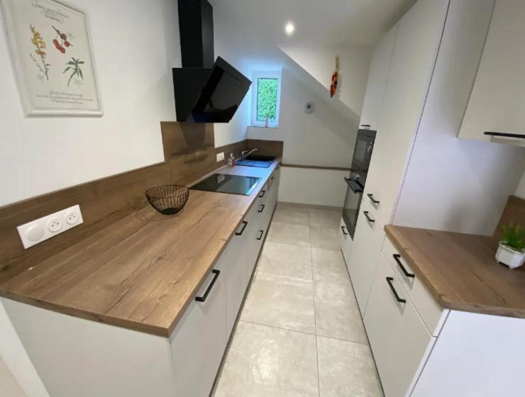 Maison Neuve Tout Confort, Deux Chambres Saint-Martin-du-Mont エクステリア 写真