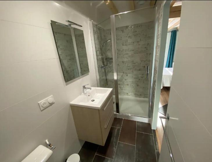 Maison Neuve Tout Confort, Deux Chambres Saint-Martin-du-Mont エクステリア 写真